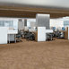 RIPPLE-EFFECT-J0116-ECHO-00201-room-image